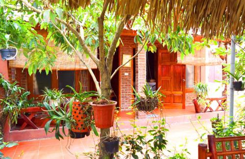 Gia Vien Bed & Breakfast | Van Long Family Homestay