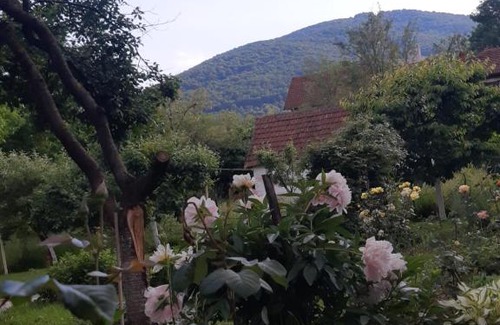 Arandelovac Apartment | Vanja's happy place