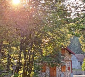 Donje Polje Apartment | VD Forest villa