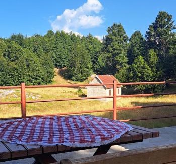 Donje Polje Apartment | VD Forest villa