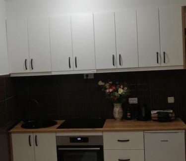 Kragujevac Apartment | Veliki park