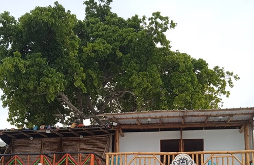 Bocachica Hotel | Venido Del Mar. Neymar