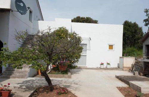 Silba Apartment | Vera