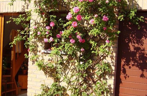 Dison Villa | Verviers Maison Entiere 5 adultes à 8 personnes