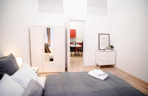 Jozsefvaros Apartment | Very central spacious AC apartment