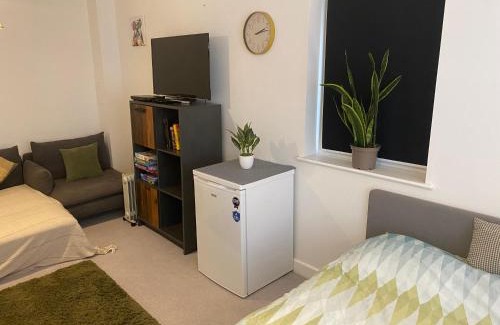 Newhaven House | Very Large Double Room with Corner Sofa, Sky TV, Netflix etc, Fridge and Microwave