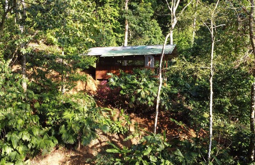 Quebrada La Gamba House | Very Near Corcovado Park. Basic bungalows in the forest surrounded by wildlife