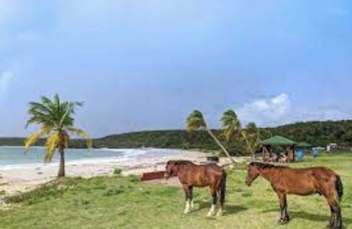 Florida Apartment | Very nice comple apartment # (1) 3 minutes from ferry