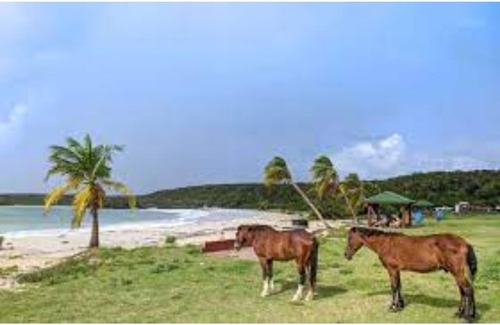 Florida Apartment | Very nice comple apartment # (1) 3 minutes from ferry