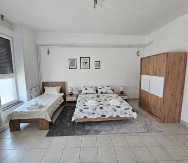 Pozega Apartment | Vespera