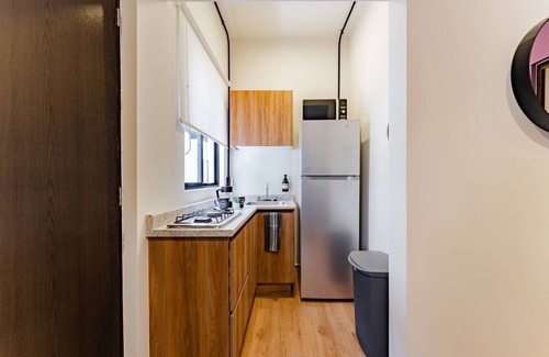 Granada Apartment | VH | Nuevo Polanco | Depa 1BR and wifi| 56