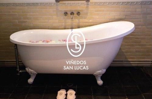 San Miguel de Allende Hotel | Viñedos San Lucas