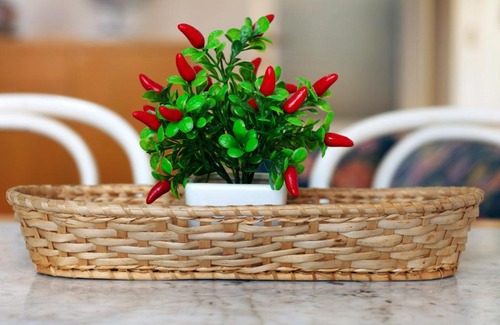 Bonassola Apartment | Via Colombo 12 Bilo