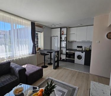 Kragujevac Apartment | Vicky apartman