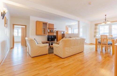 Niederau Apartment | Vicky Apartment Large