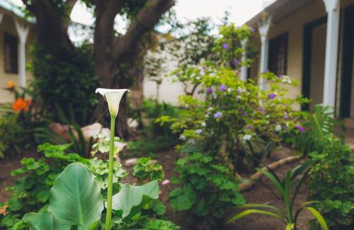 Walmer House | Victoria and Alfred Guest House