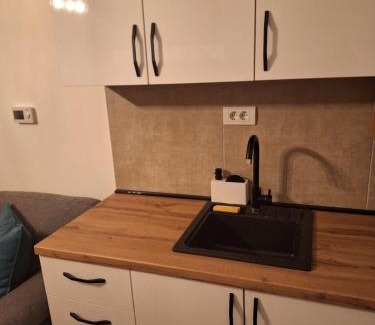 Kragujevac Apartment | Victory