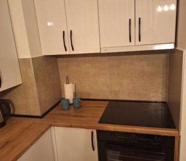 Kragujevac Apartment | Victory