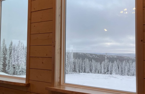 Fairbanks Cabin | View! View! View! Relax in Nature!