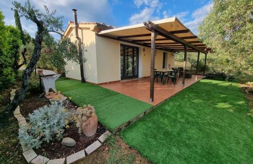 Montescudaio House | Vigna Lontana
