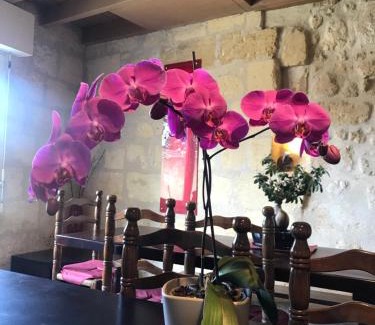 Saint-Emilion Bed & Breakfast | Vignobles Fabris