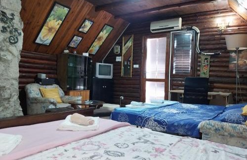 Leskovac House | Vikend kuća Nikolić