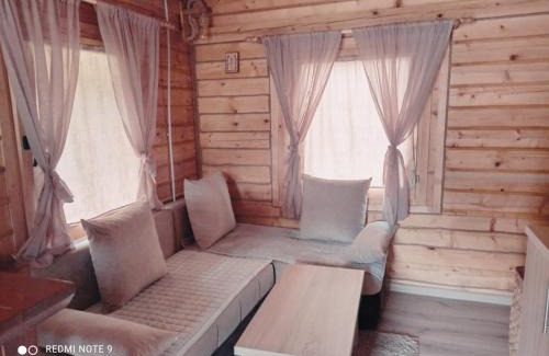 Pale House | Vikendica-Brvnara Pine