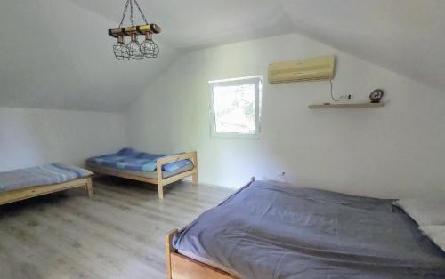 Vojvodina House | Vikendica Hlad borova Apatin