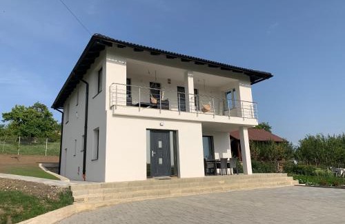 Dealu House | Viktoria House