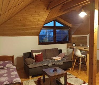 Poprad House | Vila Štefan Drevko