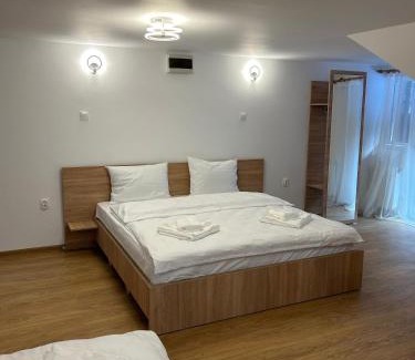 Lupeni House | Vila Artemis Straja