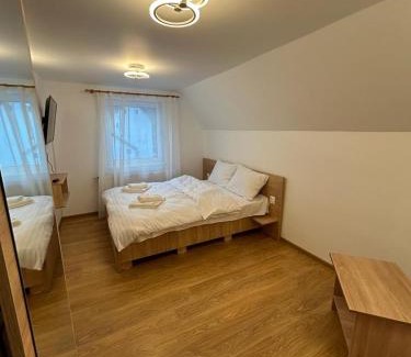 Lupeni House | Vila Artemis Straja