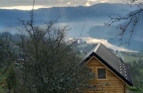 Bajina Basta Ski Chalet | Vila Bella, Tara, Zaovinsko jezero