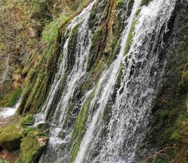 Stara Planina Villa | Vila Budimir