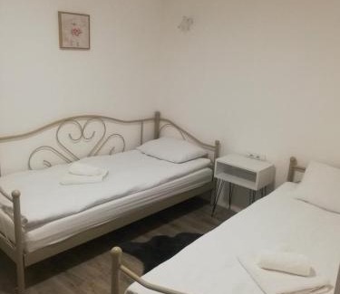 Stara Planina Villa | Vila Budimir