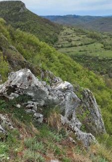 Stara Planina Villa | Vila Budimir