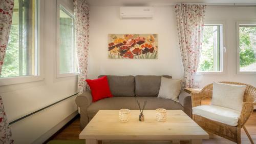 Golubac Villa | Vila Camelia