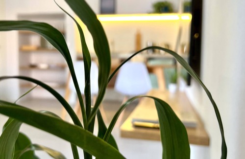 Jurere Hotel | Vila Carijós