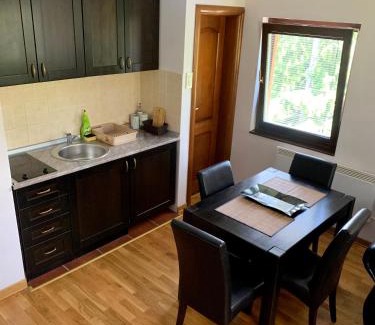 Zlatibor Apartment | Vila Darija Zlatar - studio apartman br. 3