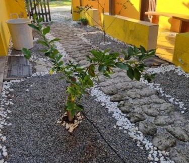 Itaunas Bed & Breakfast | Vila do Chaves