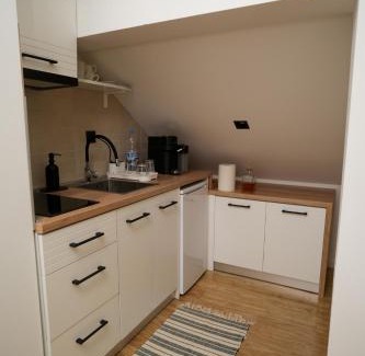 Central Serbia Villa | Vila Dolina Mira
