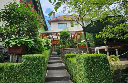 Sovata Villa | Vila Domokos