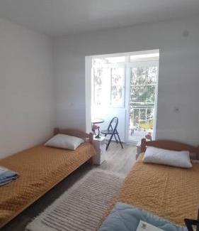 Gornja Trepca Apartment | Vila Dusica