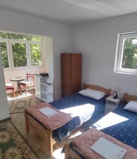 Gornja Trepca Apartment | Vila Dusica