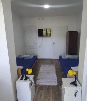 Gornja Trepca Apartment | Vila Dusica