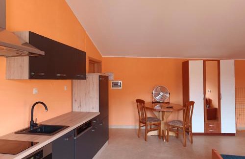 Tinjan House | Vila Fabris
