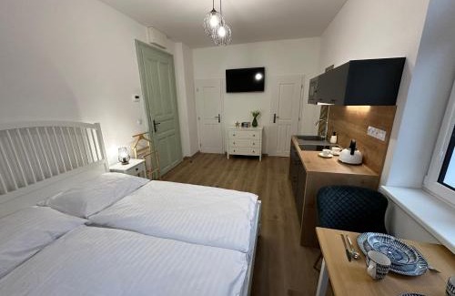 Ceske Budejovice Apartment | Vila Fráňa apartmán 2