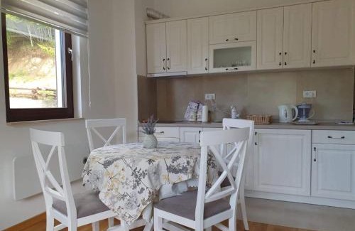 Kopaonik Apartment | Vila Irina - Apartman Miloš