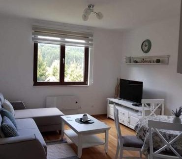 Kopaonik Apartment | Vila Irina - Apartman Miloš