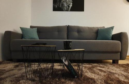 Kopaonik Apartment | Vila Irina Kopaonik - Apartman IN